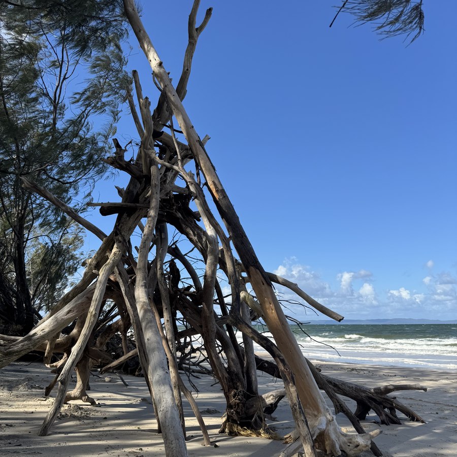A shelter of driftwood built by hand on a Sunshine Coast beach, ocean in the background